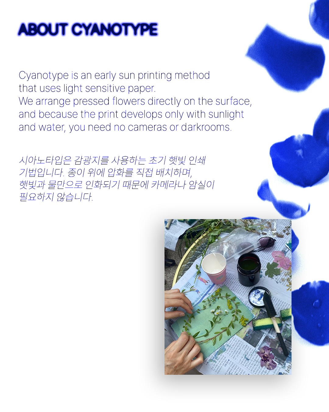 ☀BEGINNER☀ Exploring Alternative Photographic Processes with Sunlight: Cyanotype Workshop detail image 2